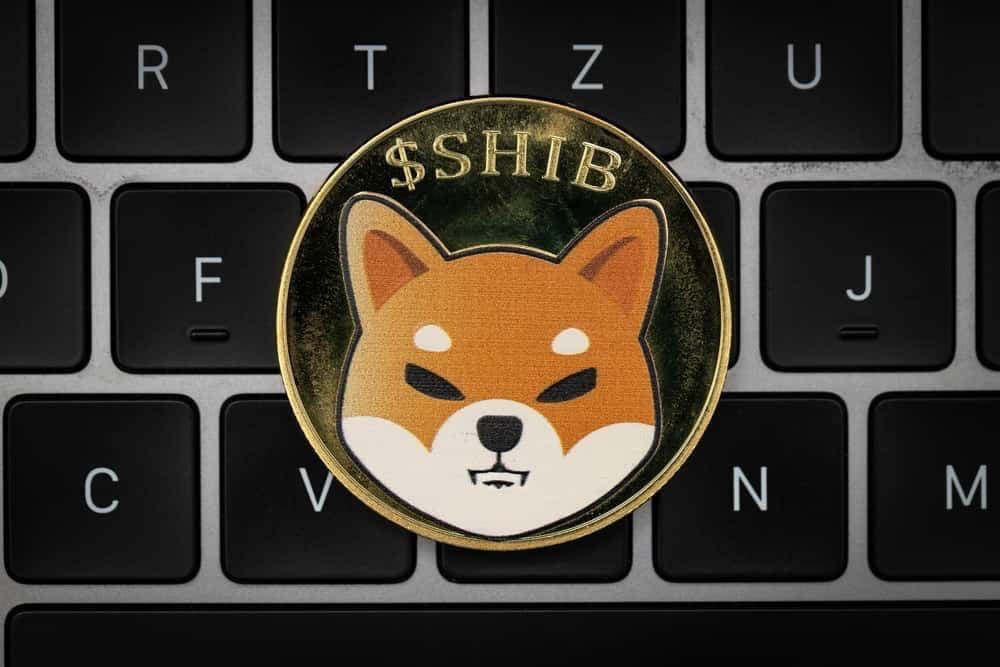 Cold Wallet Fever: Could the SHIB Cold Wallet Launch Propel the Price to New Peaks?