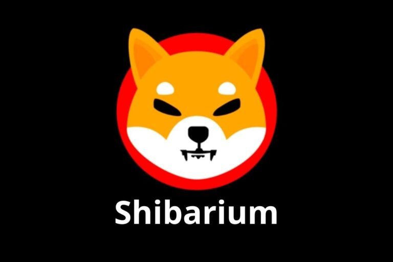 Shibarium’s Unstoppable Rise: SHIB Poised for an Epic 100x Surge in Value