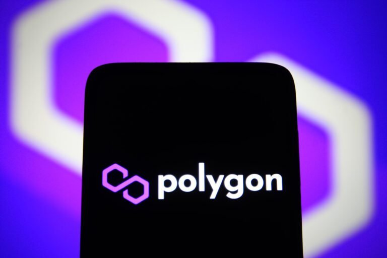 Polygon (POL) Faces 81.6% Loss For Holders – Is This The Bottom Or Further Decline Ahead?