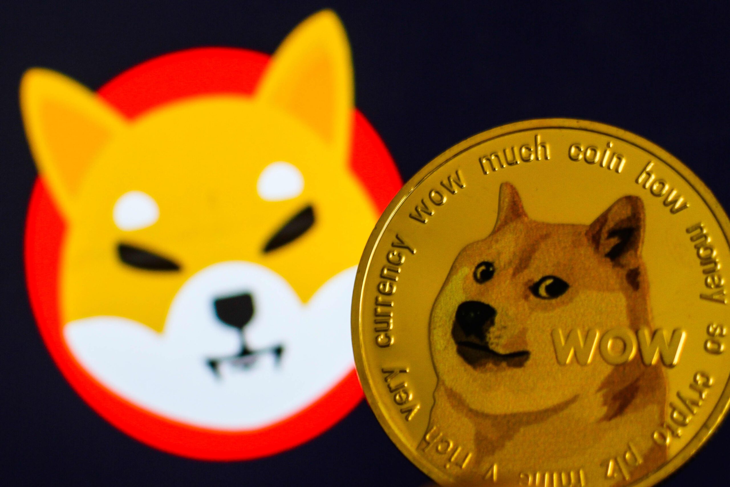 Meme Coin Mania Wanes: DOGE and BONK Dive, Are Shiba and Pepe Next?