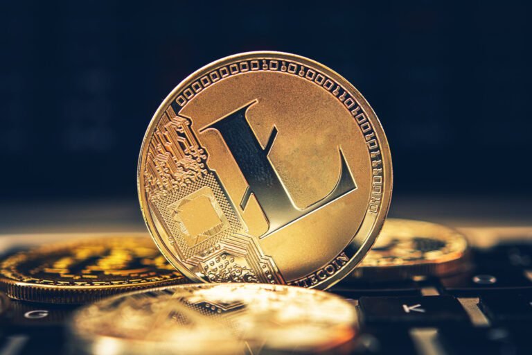 Litecoin (LTC) Eyes Bullish Momentum in 2025: Can Whale Activity Sustain Its Recovery?
