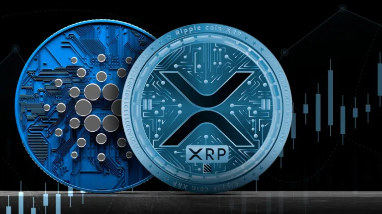 Messari CEO Ryan Selkis Sparks Controversy, Calls XRP and Cardano ‘Bot Groups’ Despite Strong Network Activity