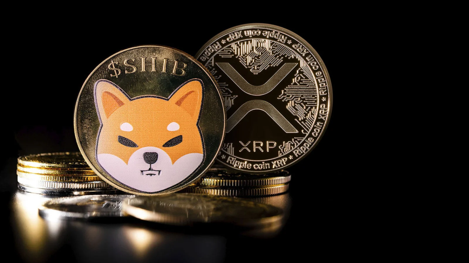 SHIB XRP