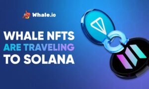 Whale NFTs are travelling to Solana - Whale.io