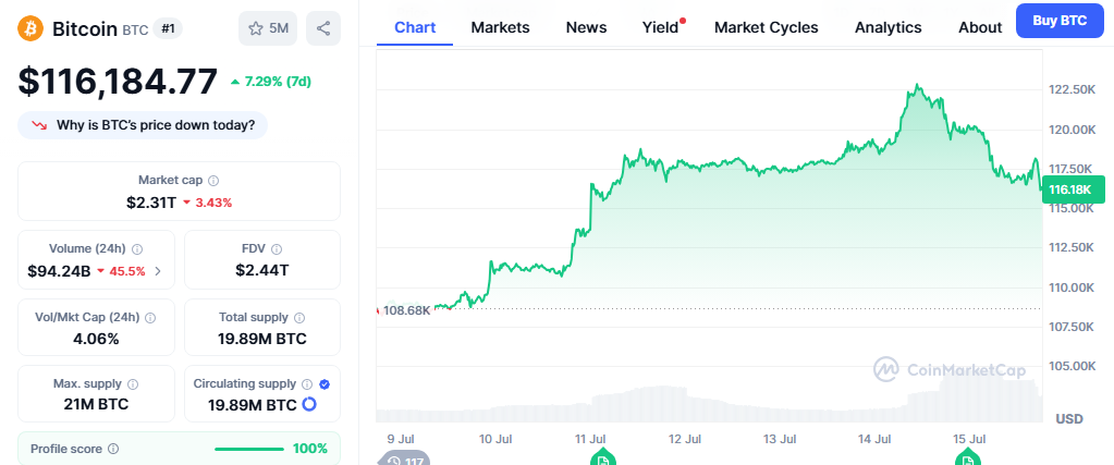 Bitcoin Price Chart - CMC Data