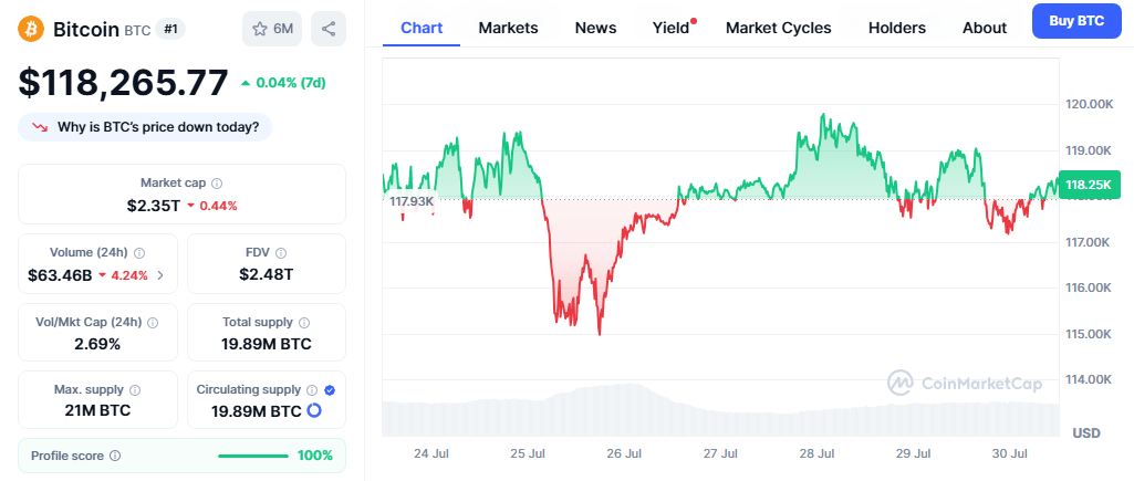 Bitcoin Price Chart - CMC Data