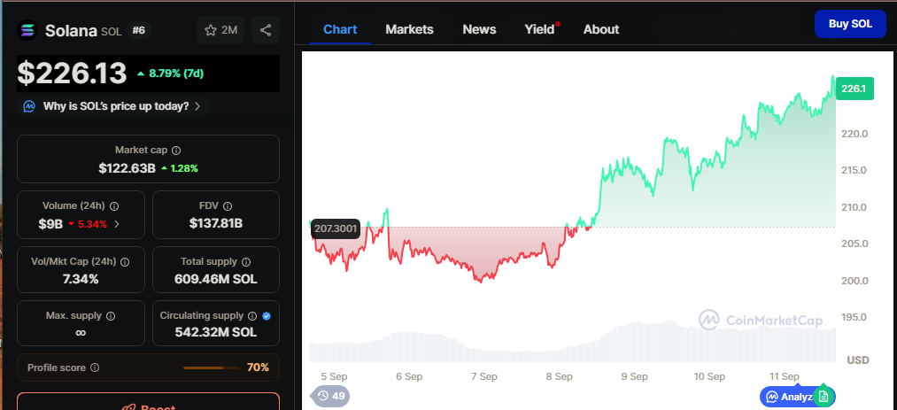 Solana Price Chart - CMC Data