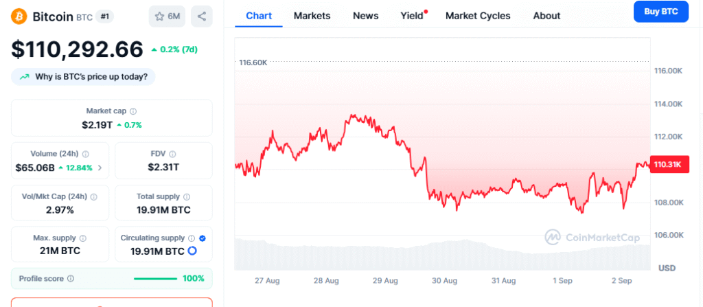 Bitcoin Price Chart - CMC Data
